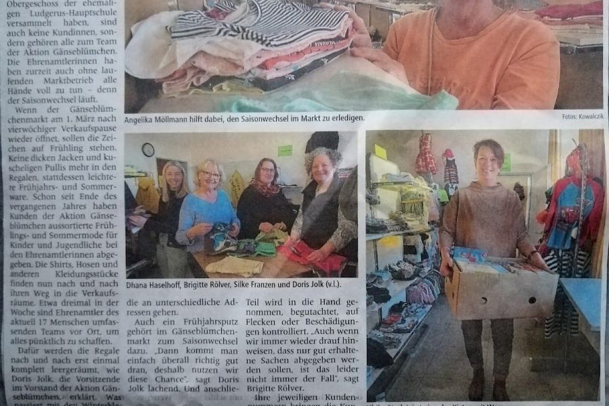 Saisonwechsel im Gänseblümchen